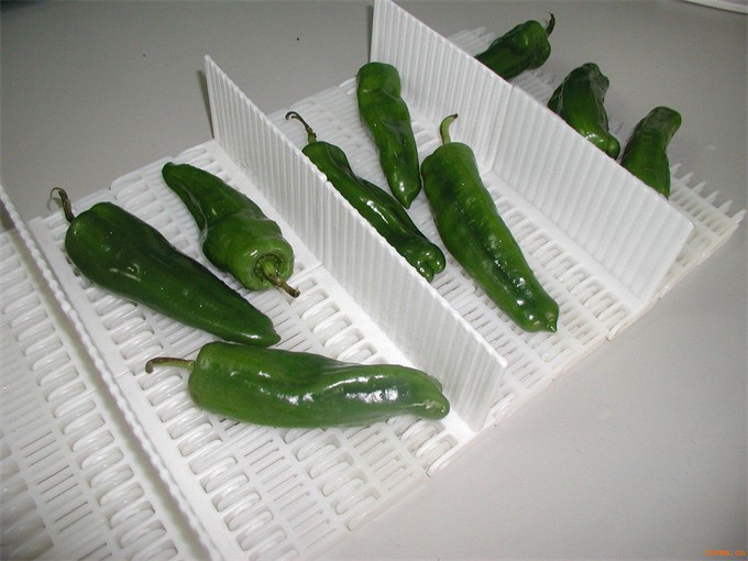 果蔬生產(chǎn)線(xiàn) (6).jpg